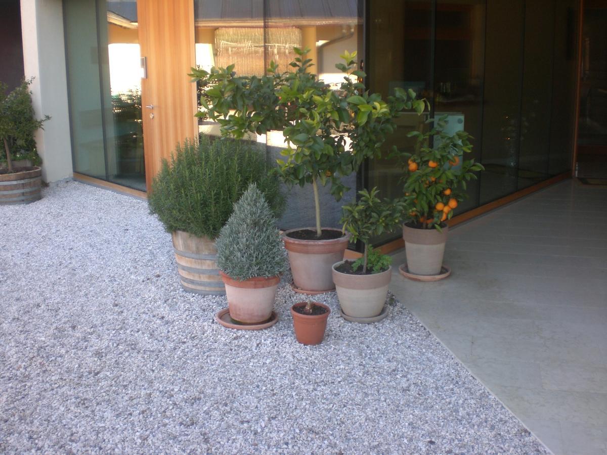 Appartement Biobauernhof St. Quirinus à Caldaro Extérieur photo