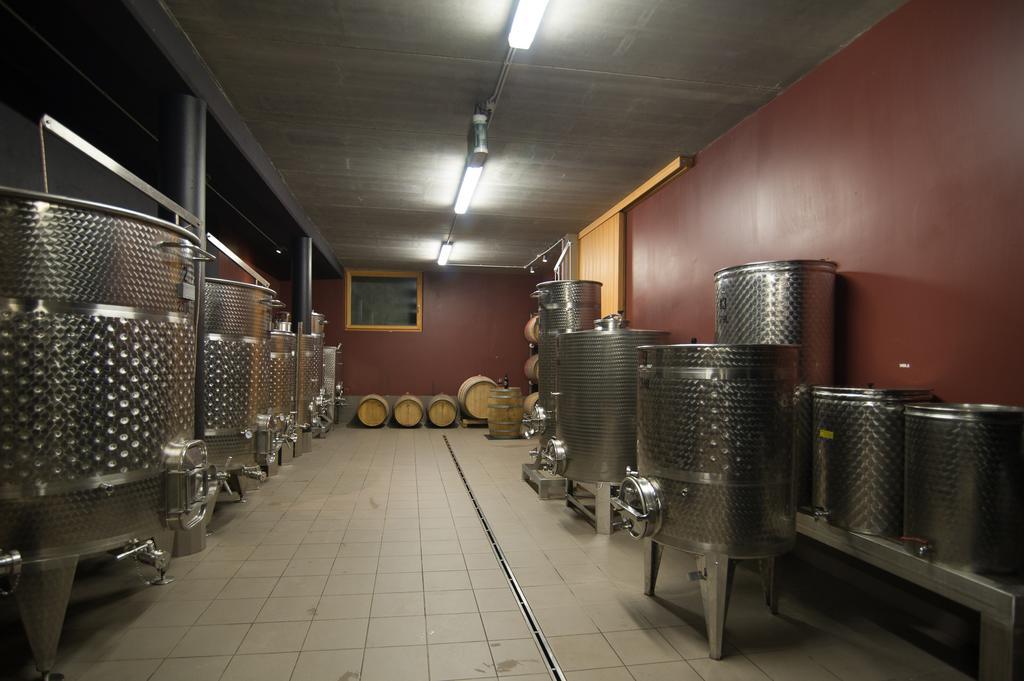 Appartement Biobauernhof St. Quirinus à Caldaro Extérieur photo