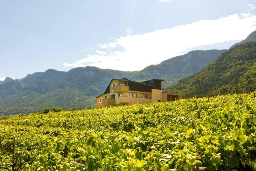 Appartement Biobauernhof St. Quirinus à Caldaro Extérieur photo